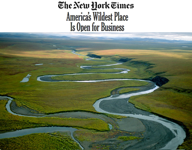 Western Arctic New York Times News