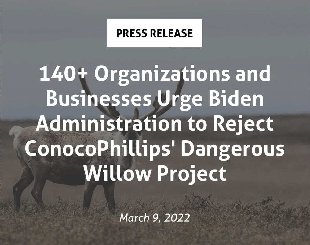 Press Release: 140+ Organizations and Businesses Urge Biden Administration to Reject ConocoPhillips' Dangerous Willow Project