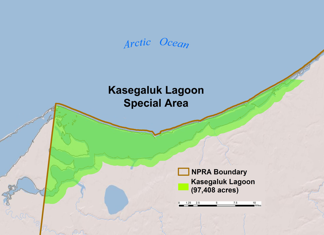 Western Arctic Kasegaluk Lagoon