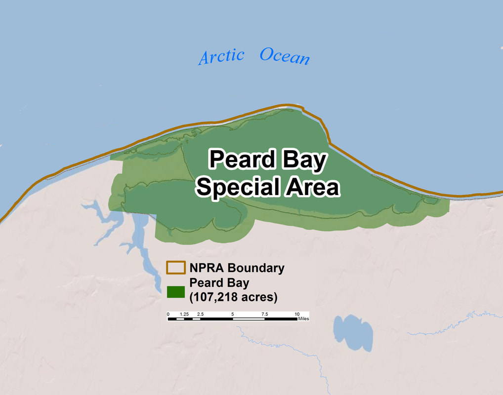 Western Arctic Peard Bay