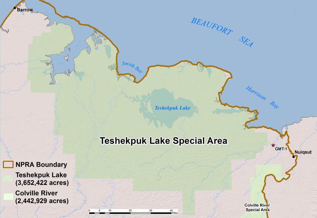 Western Arctic Teshekpuk Lake Special Area