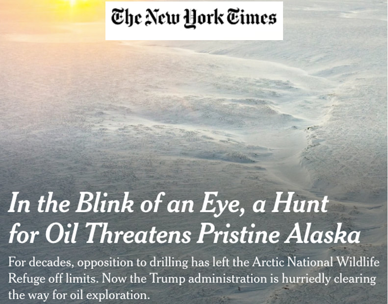 Western Arctic Alaska New York Times News Climate Change
