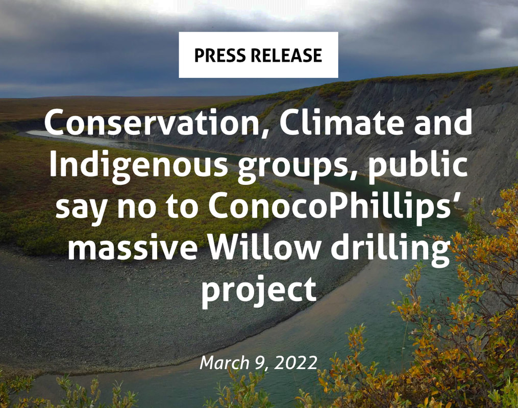 Press Release: Conservation, Climate and Indigenous groups, public say no to ConocoPhillips’ massive Willow drilling project
